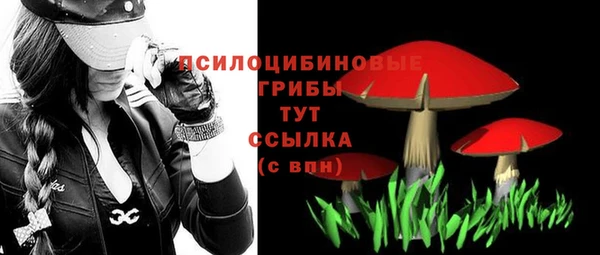 хмурый Горнозаводск