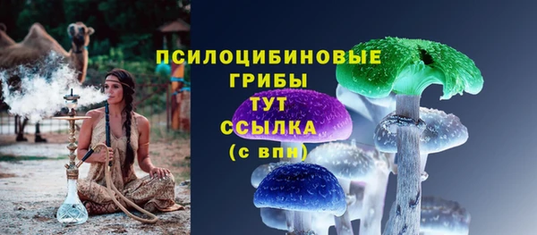 хмурый Горнозаводск