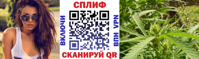 Бошки марихуана VHQ Невель